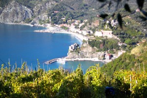 arrivée sentier sur Monterosso 5 terres