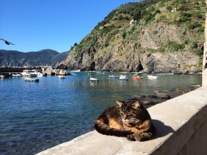 dolce vita vernazza