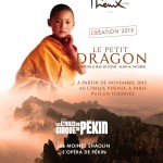 spectacle Le petit Dragon sudconcert dome de marseille cirque de pekin moines shaolin