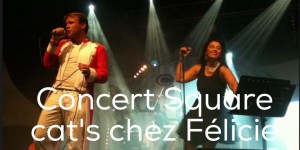 concert square cat's chez felicie