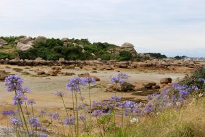 ploumanach plage saint guirec