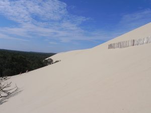dune du pliat