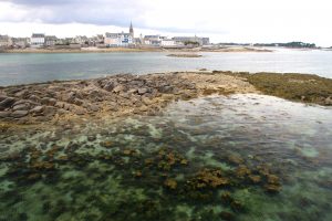 roscoff le meilleur de la bretagne
