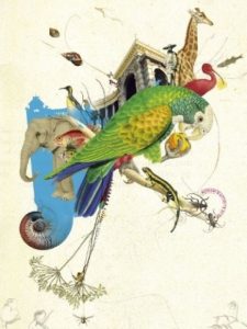 museum-histoire-naturelle-marseille-soiree-spectacle-baleine-et-contrebasse
