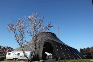 theatre-du-centaure inauguration