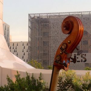 musique live golden tulip
