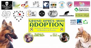 Grand Après-midi Adoption au Parc Longchamp