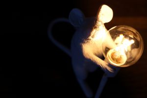 lampe mouse Seletti Lightonline
