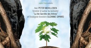 film lintelligence des arbres