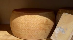 l'art de la fromagerie