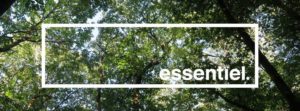 journees portes ouvertes essentiel lifestore