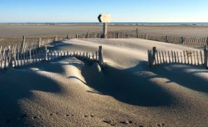 camargue plage
