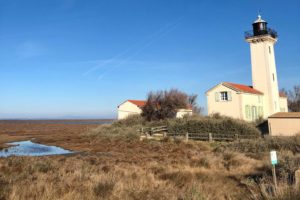 camargue phare de la gacholle
