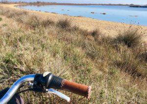 velo camargue