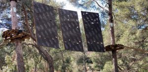 cassis forest accrobranche