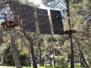 cassis forest accrobranche