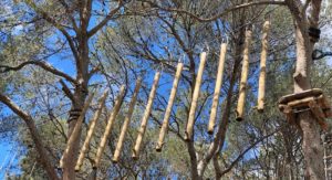 cassis forest accrobranche