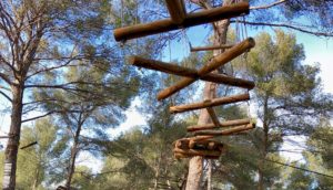 cassis forest accrobranche