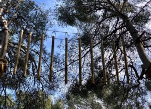 cassis forest