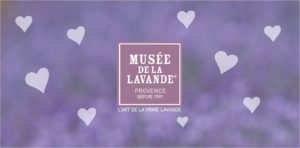 lavande musée