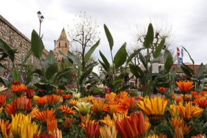 21ème Fête des Plantes et des Fleurs