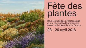 Fête des plantes au Mucem