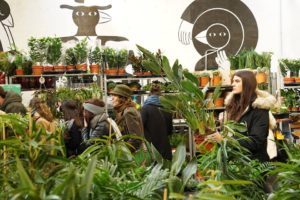 Grande Vente de Plantes #3