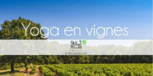 yoga en vignes
