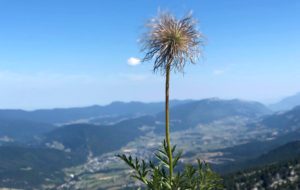 randonnee variante grande moucherolles vercors
