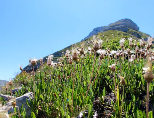 randonnee variante grande moucherolles vercors