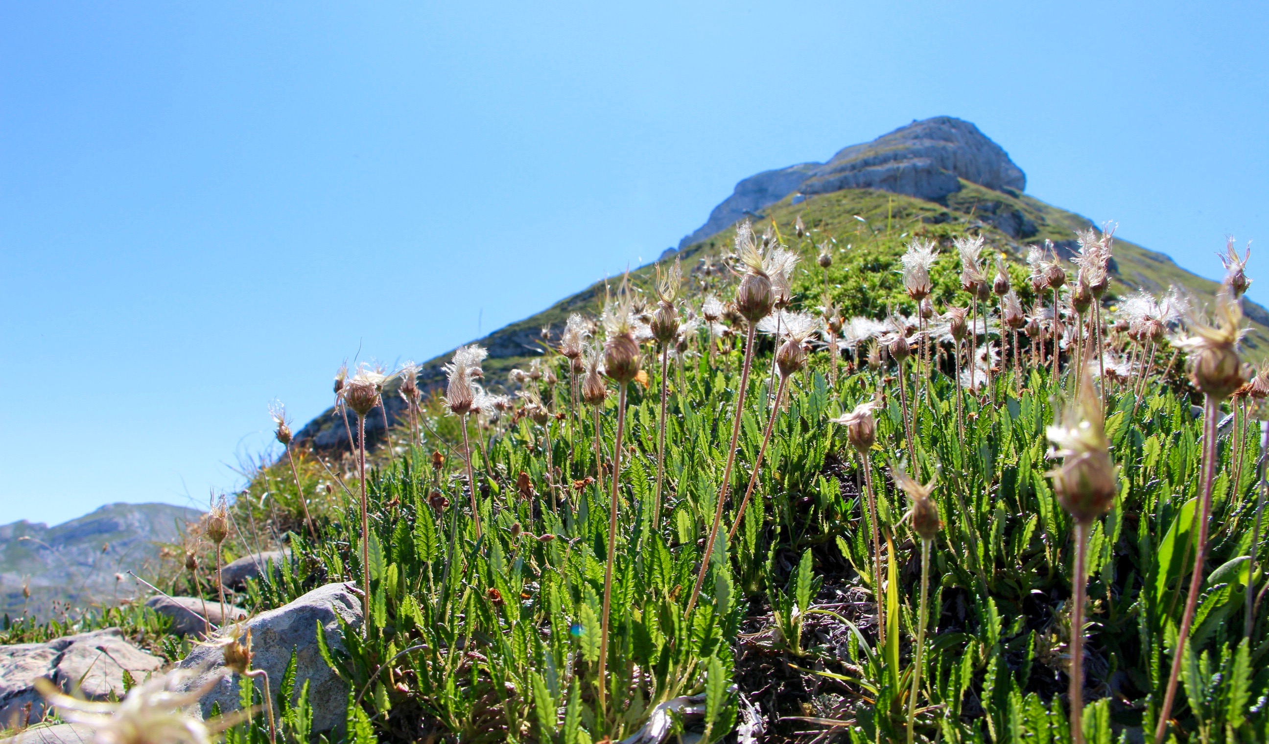 randonnee variante grande moucherolles vercors