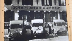 vercors lait