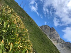 montagne la clusaz