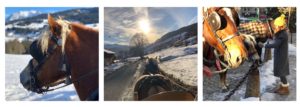 caleche les traineaux de megeve