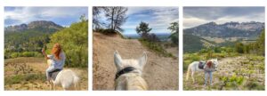 balade à cheval ventoux