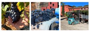 chateau rasque vin cote de provence maison d'hotes
